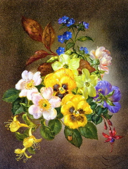 古典花卉-23